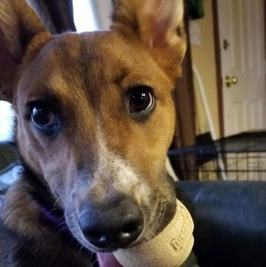 Meet your Posher, Debbie